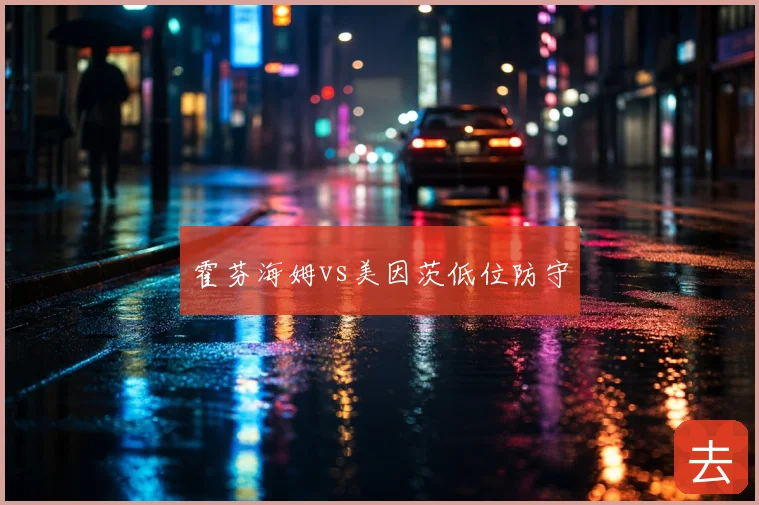 霍芬海姆vs美因茨低位防守